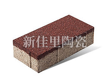 中衛100*200mm 陶瓷透水磚 紅色